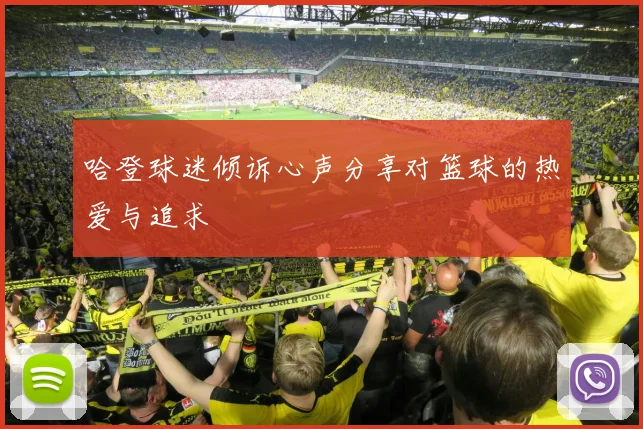 哈登球迷倾诉心声分享对篮球的热爱与追求
