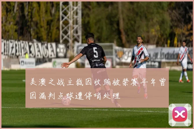 美澳之战主裁因收贿被禁赛半年曾因漏判点球遭停哨处理