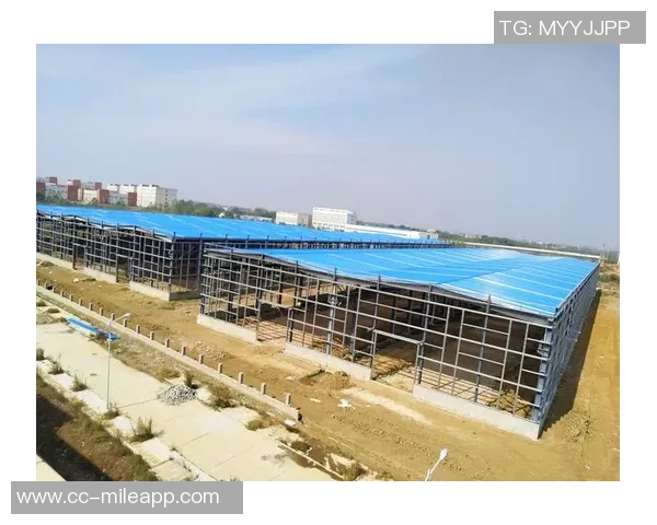 拉斯帕多里面临多重报价正在仔细权衡未来去向